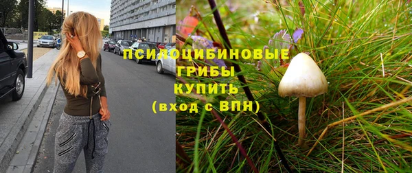 крисы Новодвинск