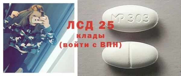 крисы Новодвинск