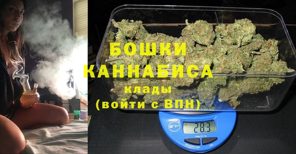 крисы Новодвинск