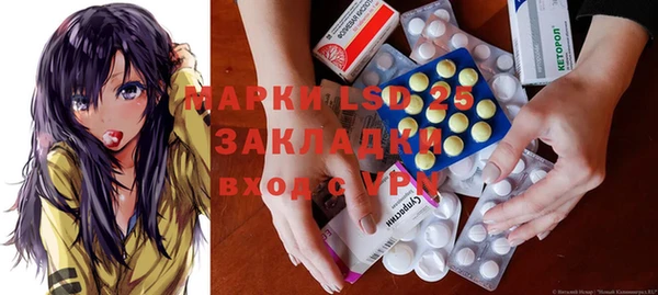 крисы Новодвинск