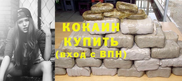 крисы Новодвинск