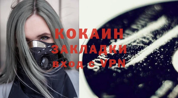 крисы Новодвинск