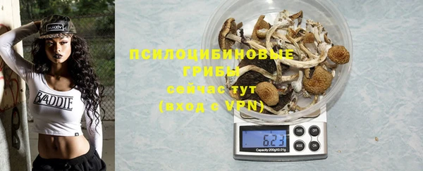 крисы Новодвинск