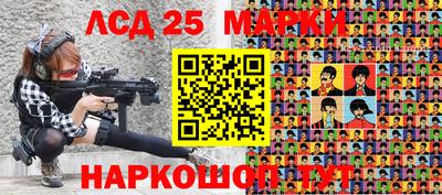 дмт Кингисепп