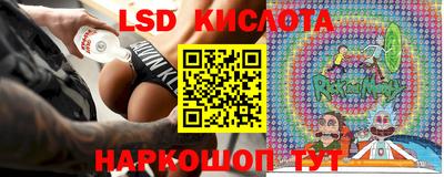дмт Кингисепп