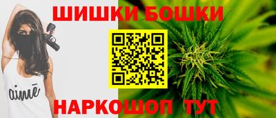 дмт Кингисепп