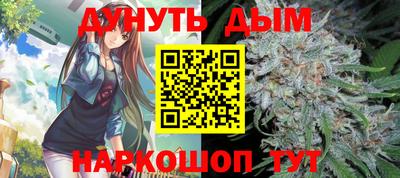 дмт Кингисепп