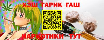 дмт Кингисепп