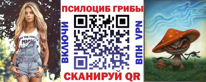 закладка  OMG ONION  Галлюциногенные грибы прущие грибы  Нефтекумск 