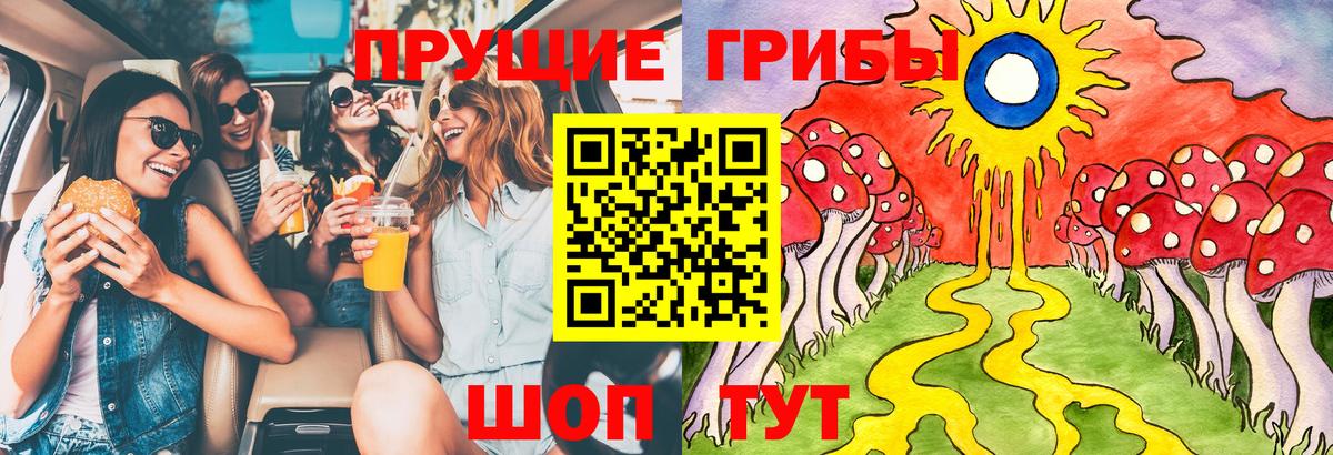Псилоцибиновые грибы мухоморы  Вход с VPN  купить наркоту  Нефтекумск  Галлюциногенные грибы мицелий 